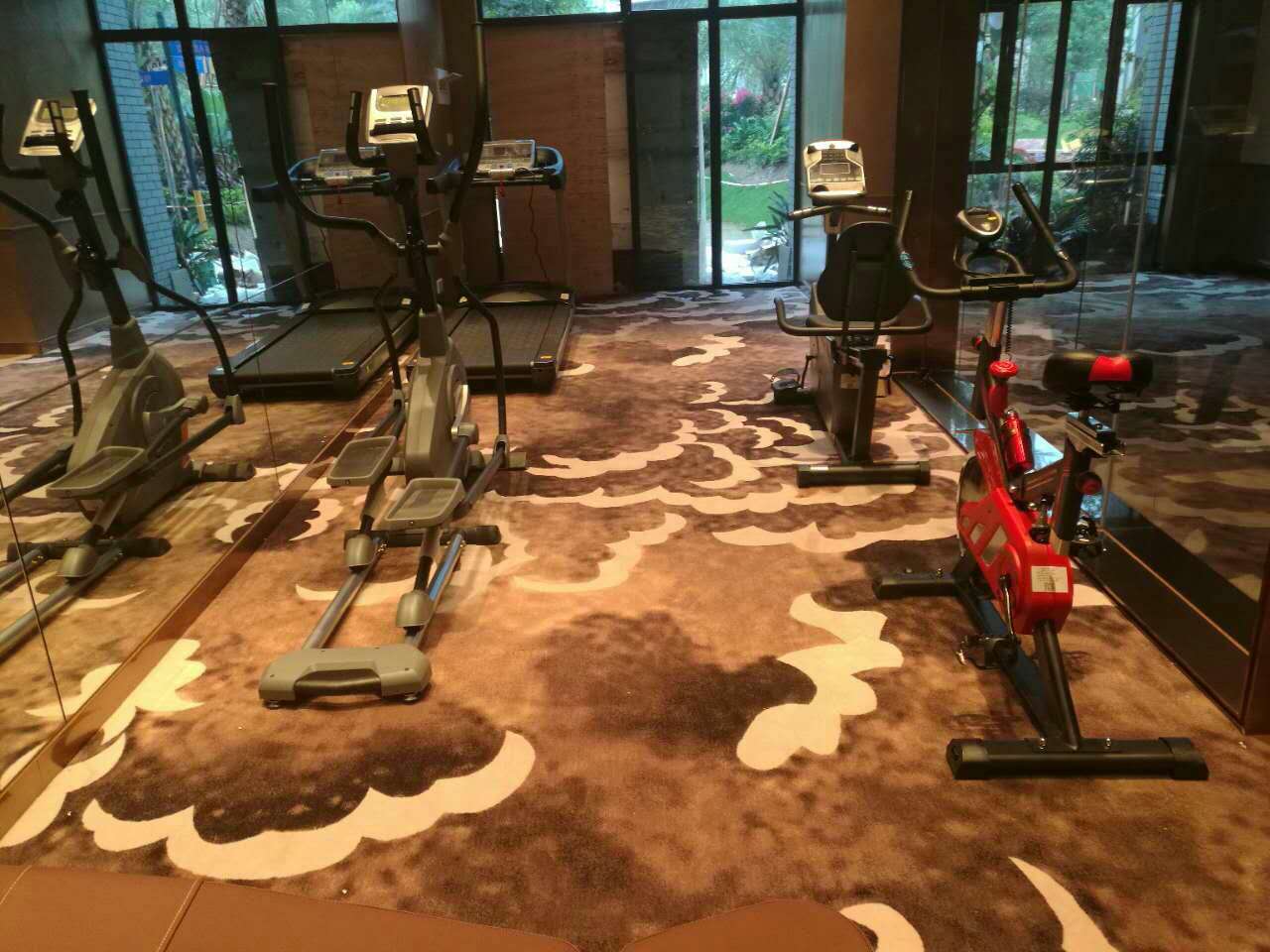 山东东平碧桂园健身房 广州香蕉视频在线观看免费健身器材厂案例展示