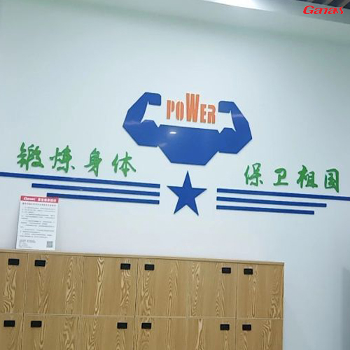 广东南部空军站区汽车连队健身房案列 香蕉视频在线观看免费直销单位健身器材