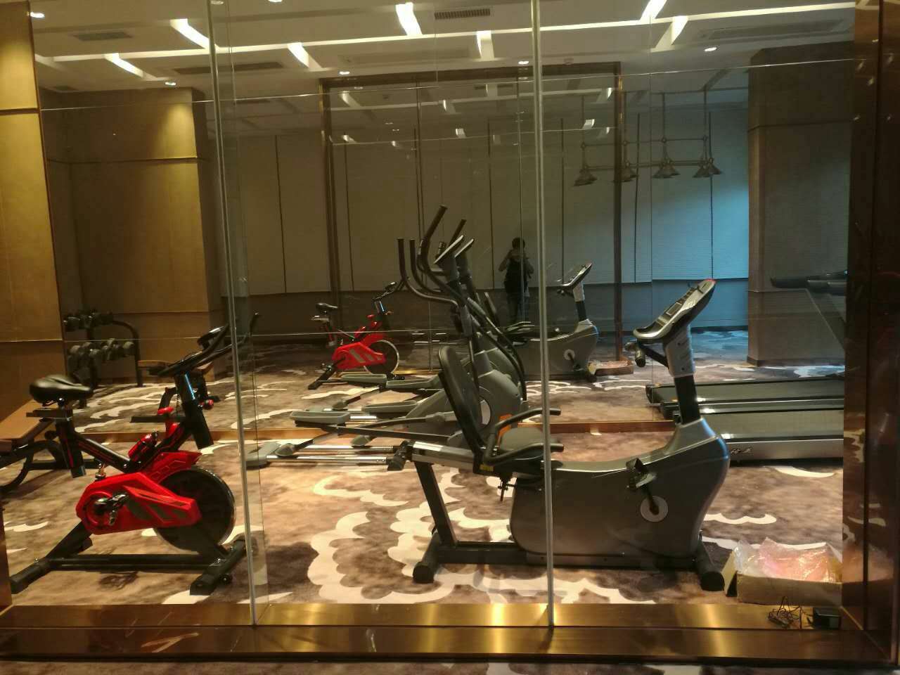 山东东平碧桂园健身房 广州香蕉视频在线观看免费健身器材厂案例展示